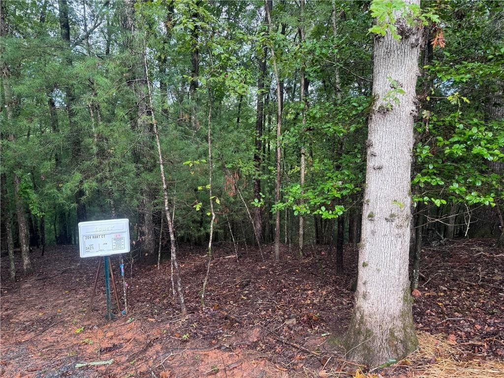other for sale at 204 Hart Court, Ellijay, GA 30540 — photo 4