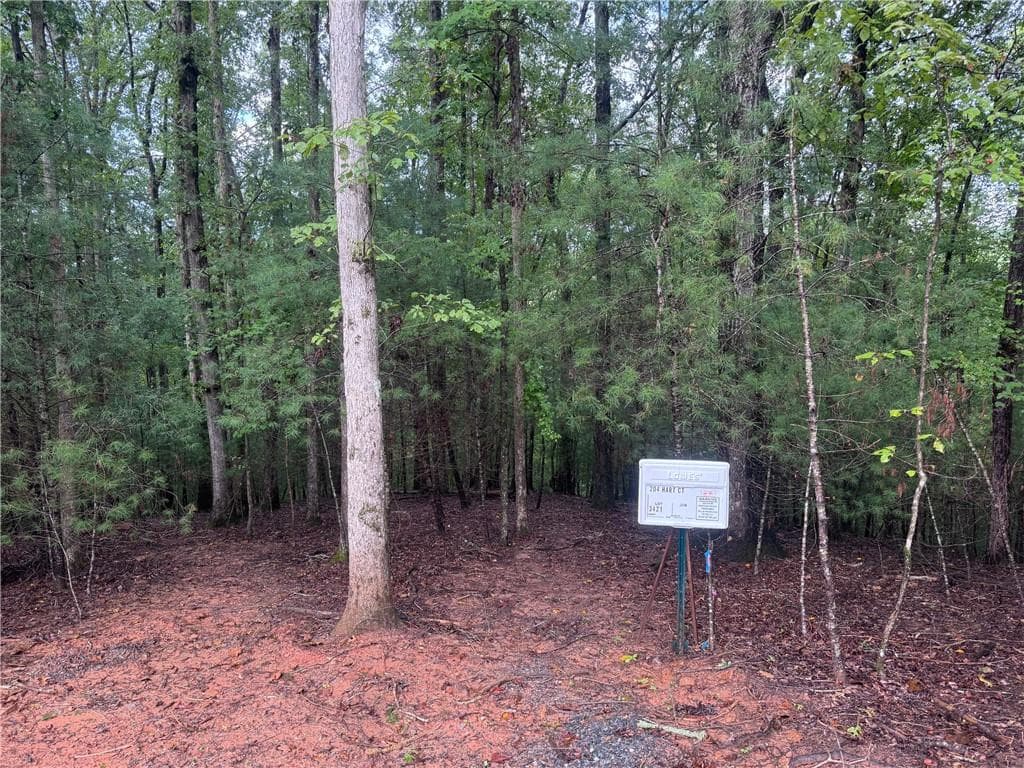 other for sale at 204 Hart Court, Ellijay, GA 30540 — photo 5