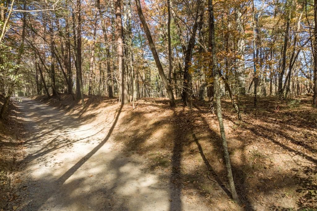 other for sale at TR 1 Old Anderson Creek, Ellijay, GA 30536 — photo 4