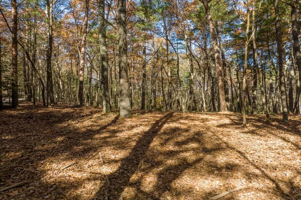 other for sale at TR 1 Old Anderson Creek, Ellijay, GA 30536 — photo 6