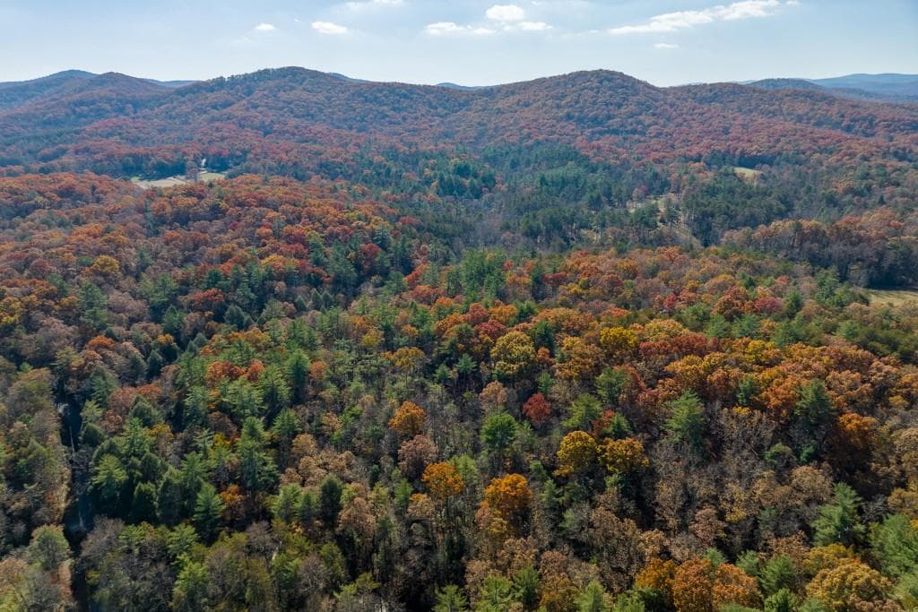 other for sale at TR 1 Old Anderson Creek, Ellijay, GA 30536 — photo 9