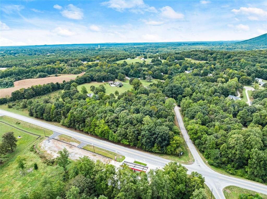 unimproved land for sale at 6850 Old Cleveland Road, Clermont, GA 30527 — photo 9