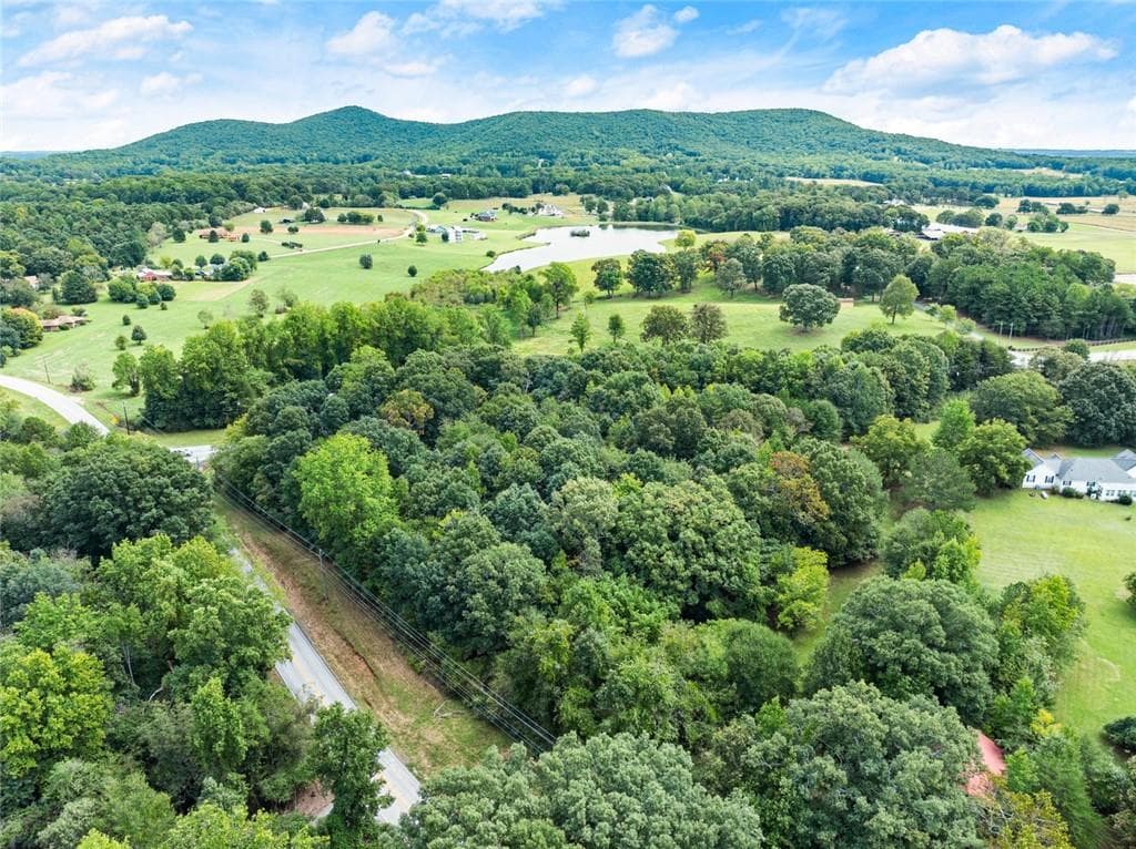 unimproved land for sale at 6850 Old Cleveland Road, Clermont, GA 30527 — photo 10