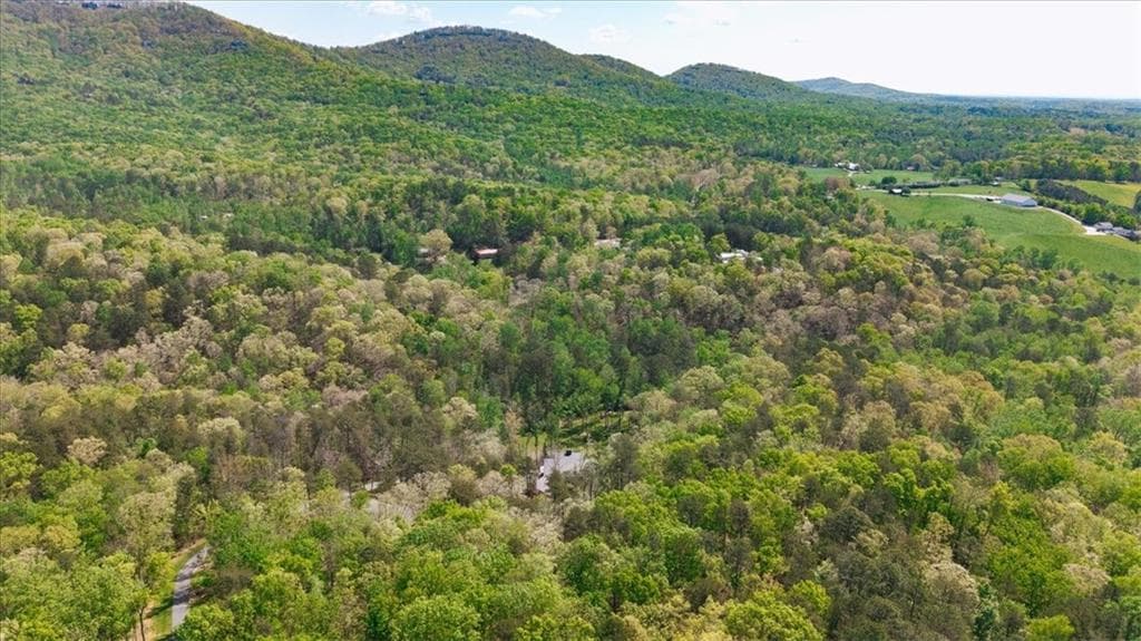 4 bedroom, 2 bathroom unimproved land for sale at 545 Cowart Mountain Road, Jasper, GA 30143