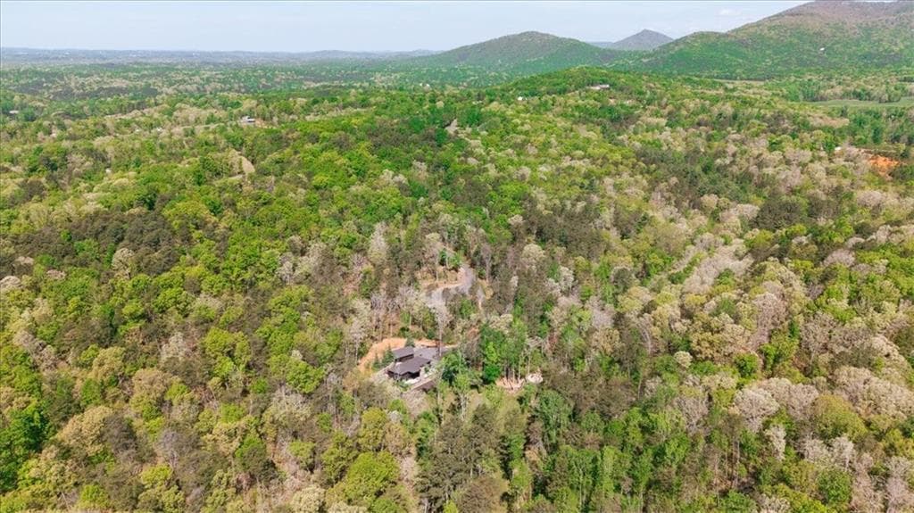 4 bedroom, 2 bathroom unimproved land for sale at 545 Cowart Mountain Road, Jasper, GA 30143 — photo 2