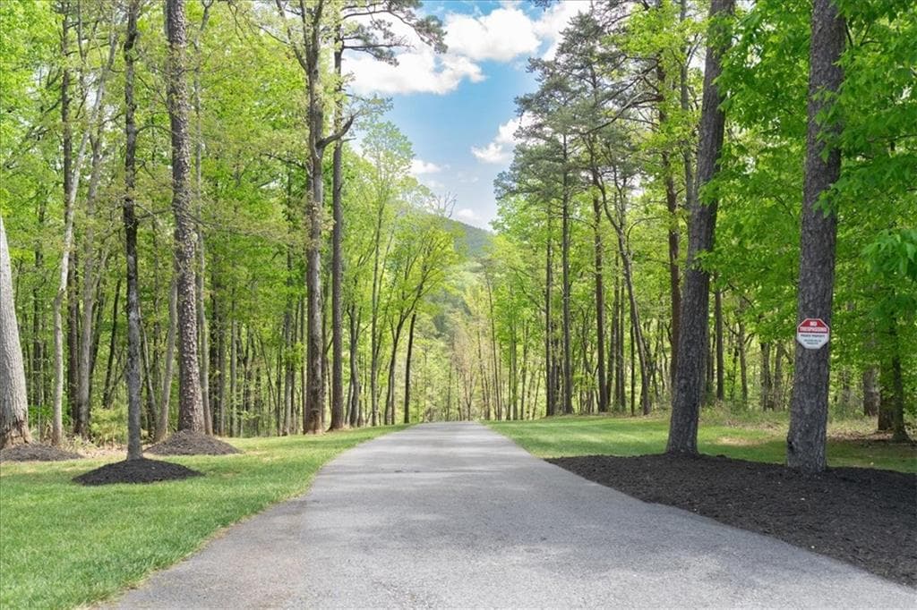 4 bedroom, 2 bathroom unimproved land for sale at 545 Cowart Mountain Road, Jasper, GA 30143 — photo 4