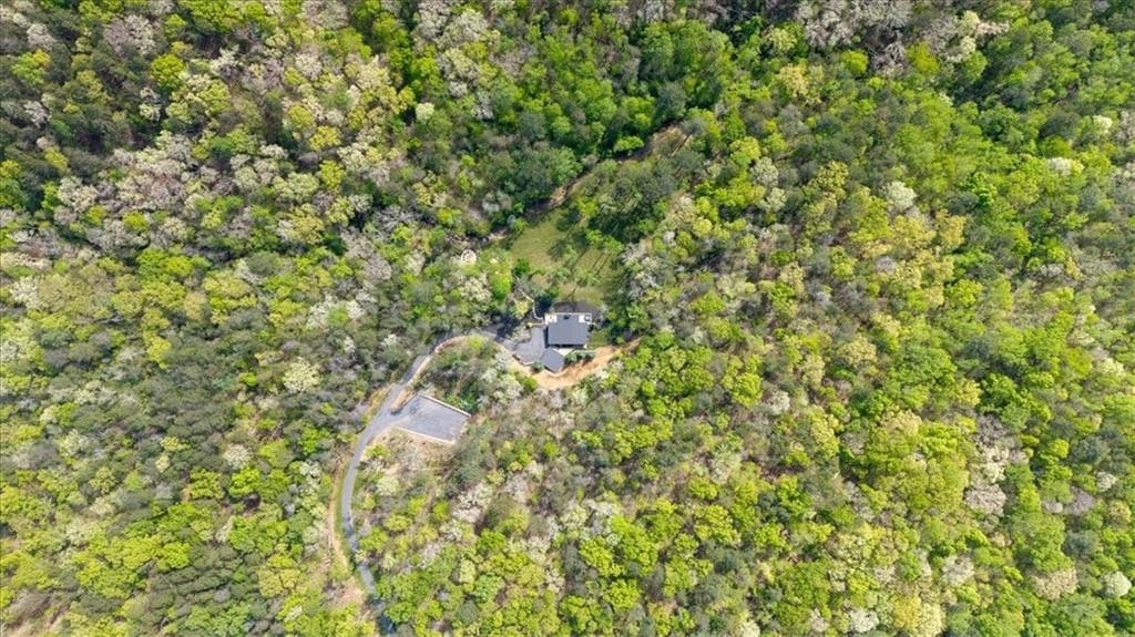 4 bedroom, 2 bathroom unimproved land for sale at 545 Cowart Mountain Road, Jasper, GA 30143 — photo 5