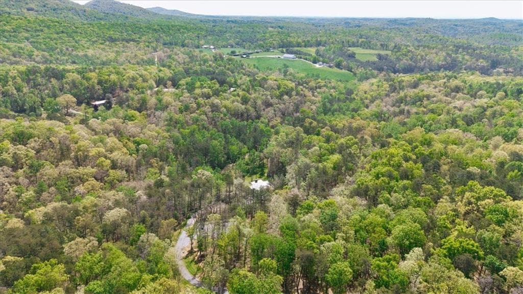 4 bedroom, 2 bathroom unimproved land for sale at 545 Cowart Mountain Road, Jasper, GA 30143 — photo 6