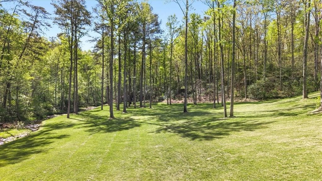 4 bedroom, 2 bathroom unimproved land for sale at 545 Cowart Mountain Road, Jasper, GA 30143 — photo 9