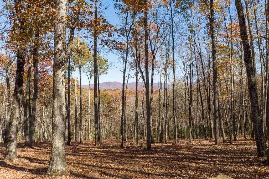 unimproved land for sale at LT 17R Tanager Trail, Ellijay, GA 30536 — photo 4