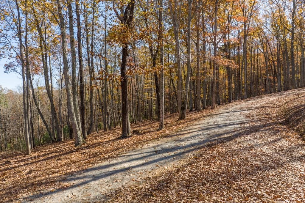 unimproved land for sale at LT 17R Tanager Trail, Ellijay, GA 30536 — photo 5