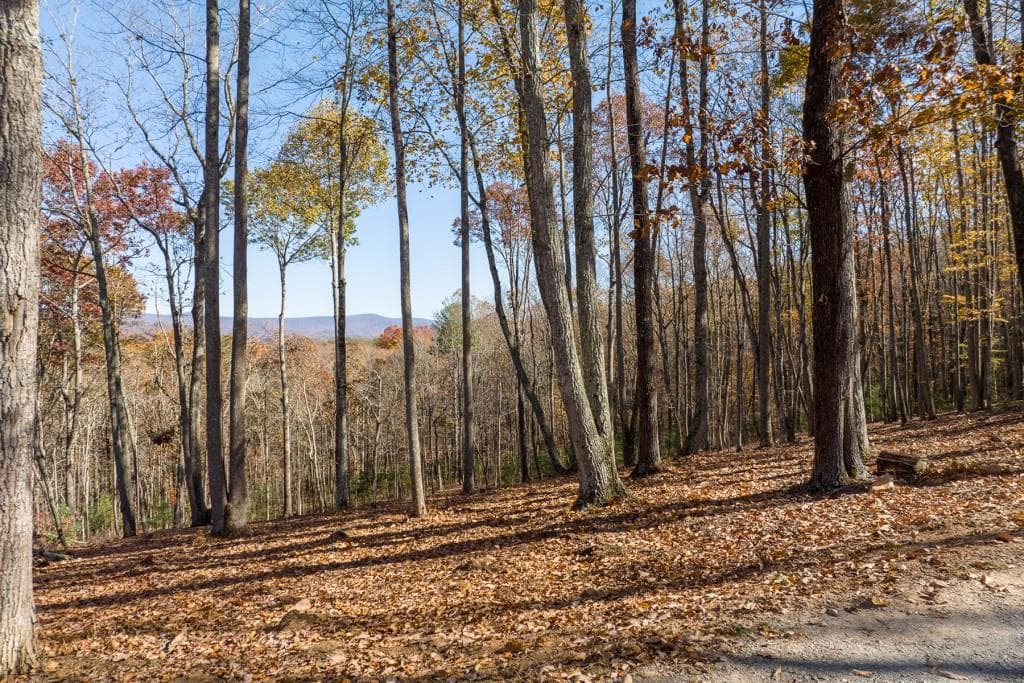unimproved land for sale at LT 17R Tanager Trail, Ellijay, GA 30536 — photo 6