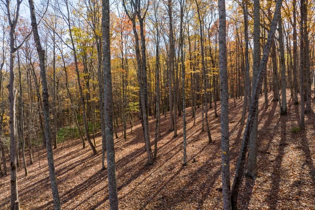 unimproved land for sale at LT 17R Tanager Trail, Ellijay, GA 30536 — photo 8