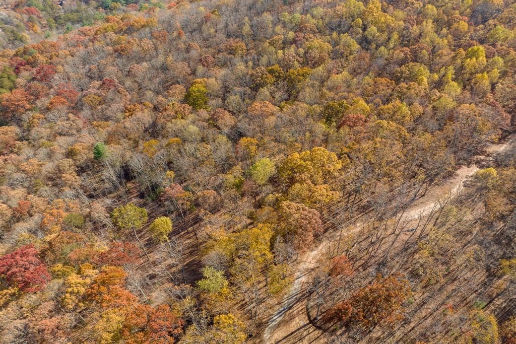 unimproved land for sale at LT 17R Tanager Trail, Ellijay, GA 30536 — photo 10