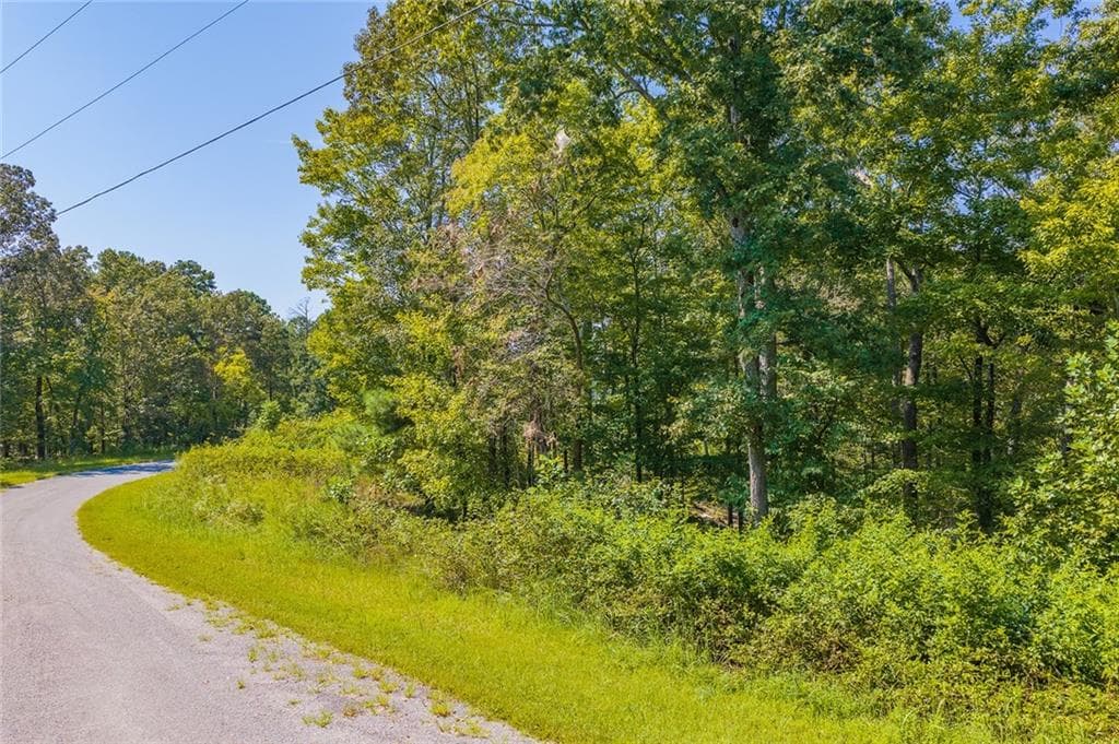 unimproved land for sale at Lot 31 Freestone Street, Talking Rock, GA 30175 — photo 2