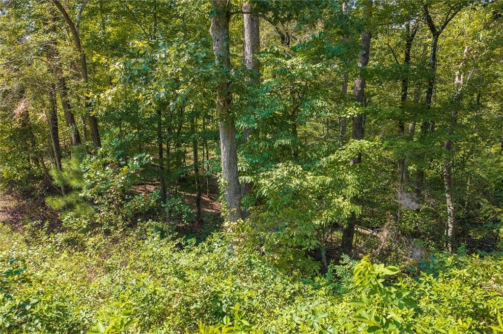 unimproved land for sale at Lot 31 Freestone Street, Talking Rock, GA 30175 — photo 3