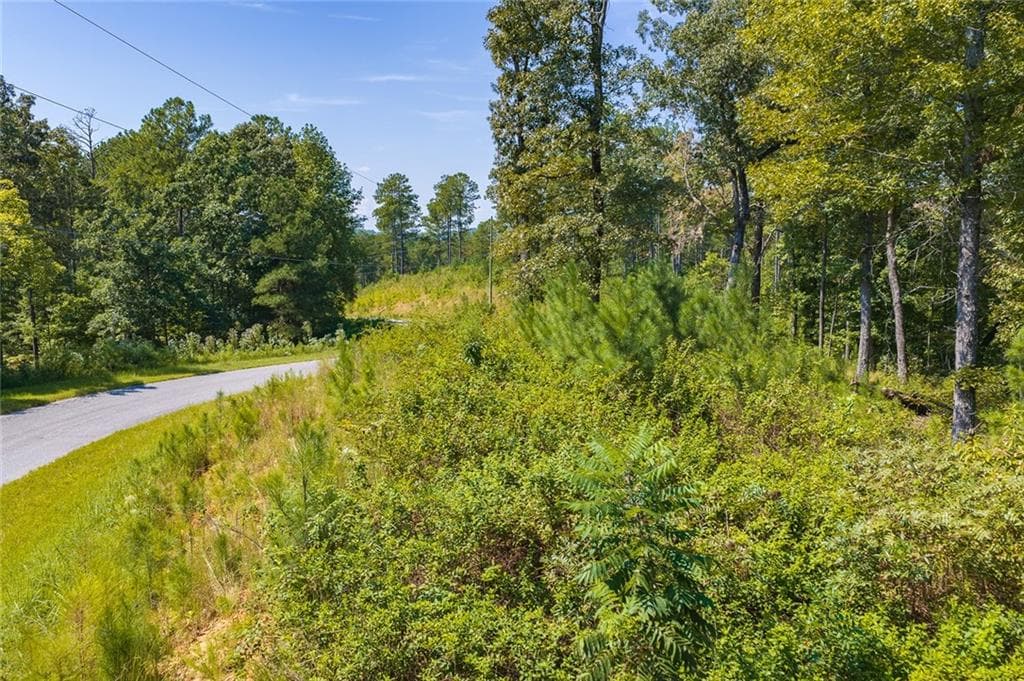 unimproved land for sale at Lot 31 Freestone Street, Talking Rock, GA 30175 — photo 4