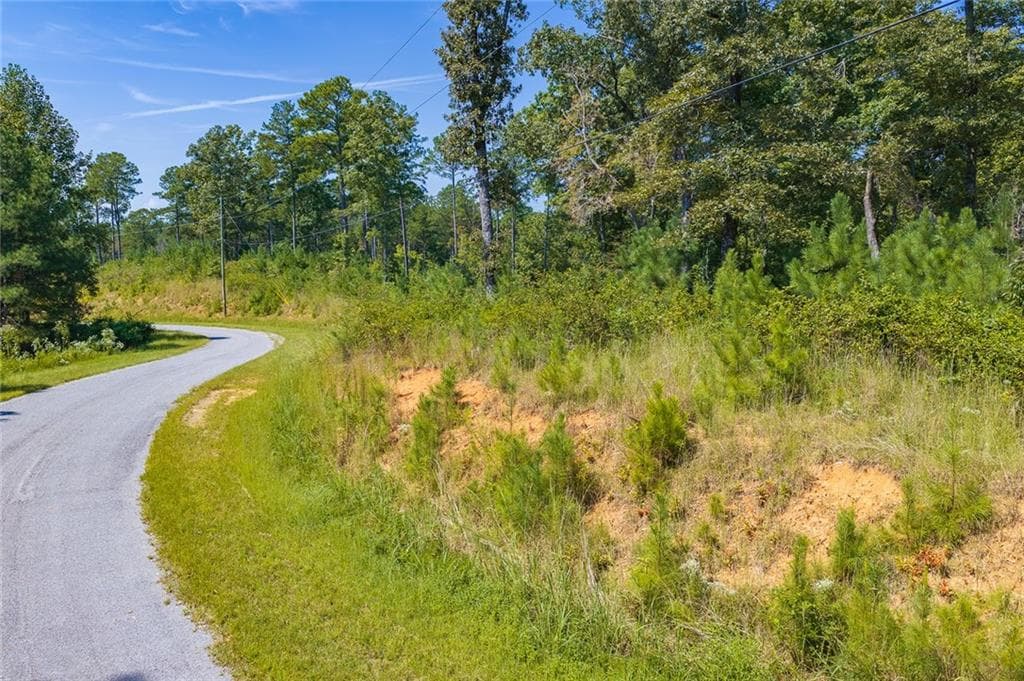 unimproved land for sale at Lot 31 Freestone Street, Talking Rock, GA 30175 — photo 5