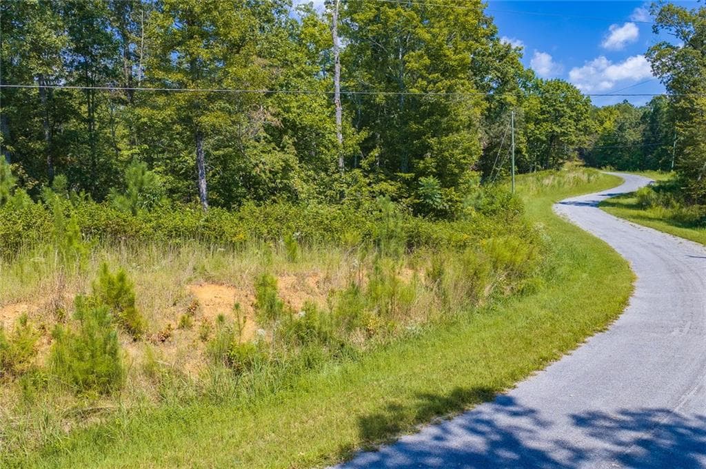unimproved land for sale at Lot 31 Freestone Street, Talking Rock, GA 30175 — photo 6