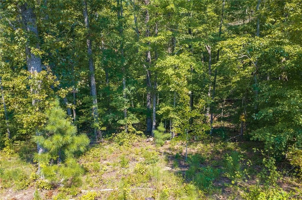 unimproved land for sale at Lot 31 Freestone Street, Talking Rock, GA 30175 — photo 7