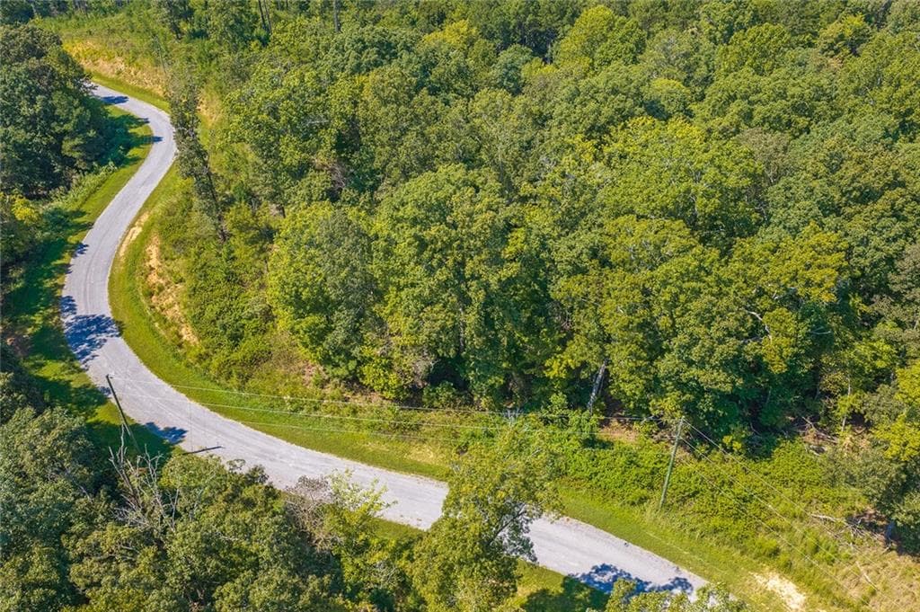 unimproved land for sale at Lot 31 Freestone Street, Talking Rock, GA 30175 — photo 8