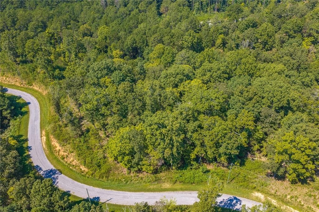 unimproved land for sale at Lot 31 Freestone Street, Talking Rock, GA 30175 — photo 9
