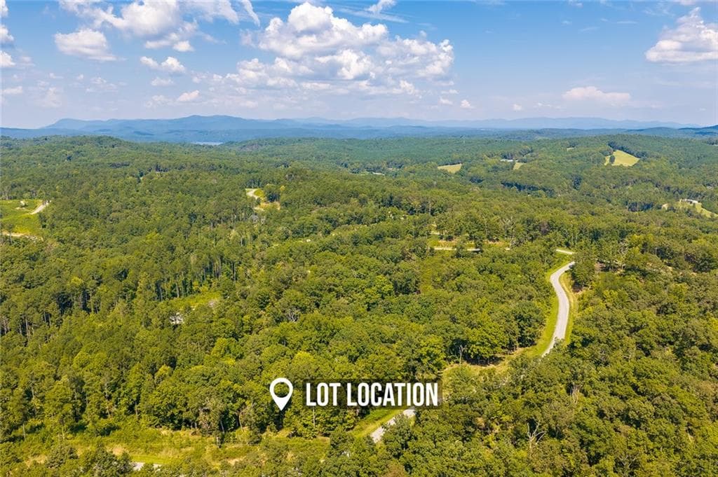 unimproved land for sale at Lot 31 Freestone Street, Talking Rock, GA 30175 — photo 10
