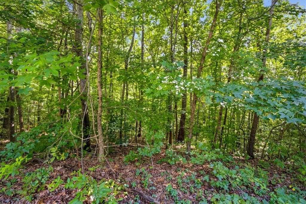 other under contract at 200 Gina Drive, Carrollton, GA 30116 — photo 3