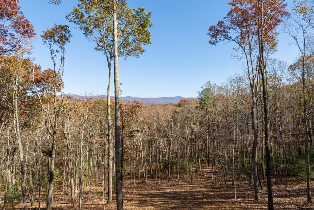 unimproved land for sale at 19R Settlement Trail, Ellijay, GA 30536 — photo 3