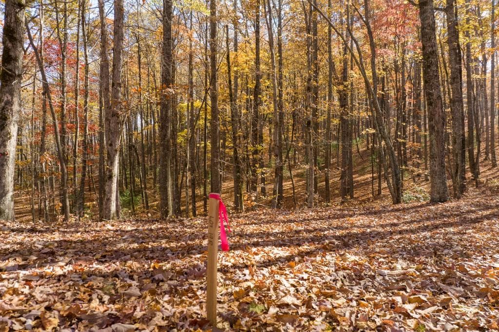 unimproved land for sale at 19R Settlement Trail, Ellijay, GA 30536 — photo 4