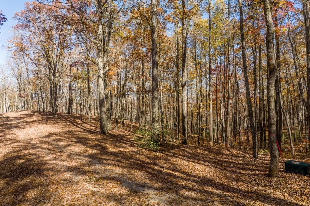 unimproved land for sale at 19R Settlement Trail, Ellijay, GA 30536 — photo 5