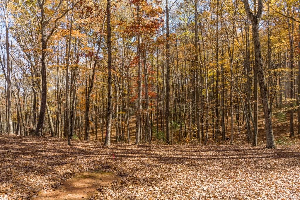 unimproved land for sale at 19R Settlement Trail, Ellijay, GA 30536 — photo 6