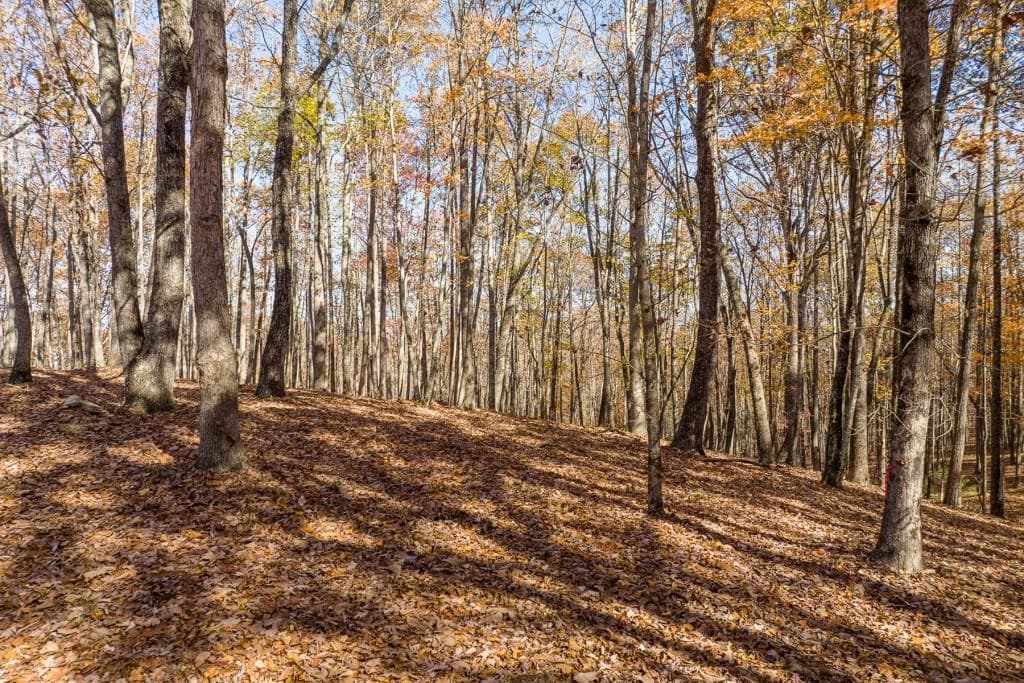 unimproved land for sale at 19R Settlement Trail, Ellijay, GA 30536 — photo 7