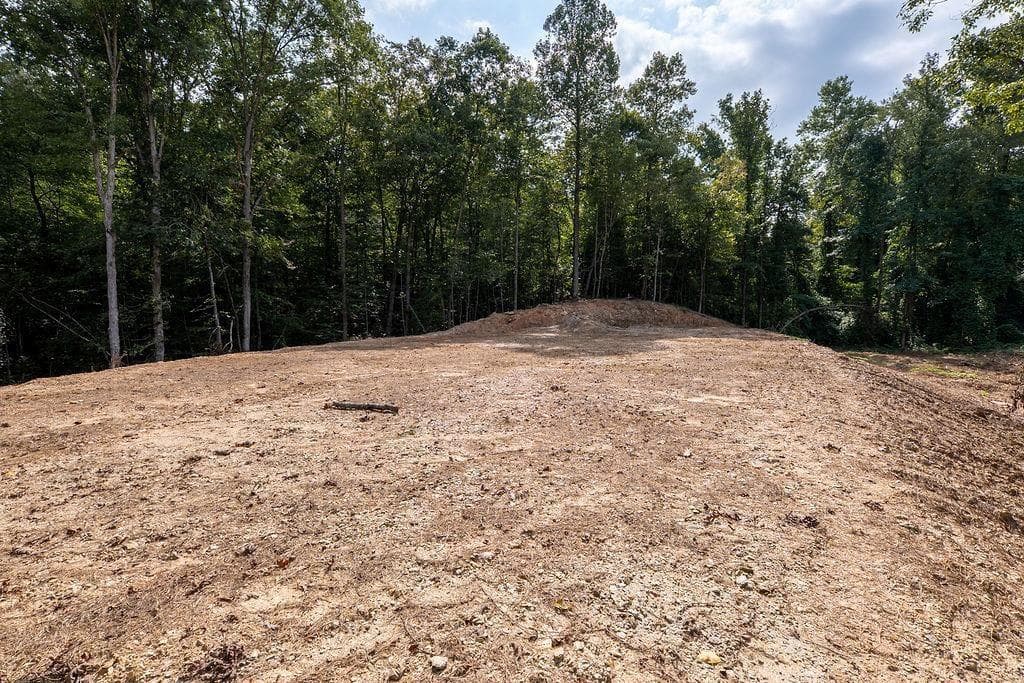 unimproved land for sale at 3280 Old Burnt Mountain Road, Jasper, GA 30143 — photo 8