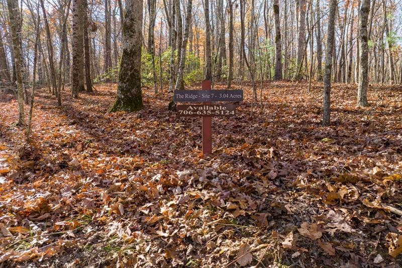 unimproved land for sale at LOT 7 Joseph Anderson Trail, Ellijay, GA 30536 — photo 1 of 20