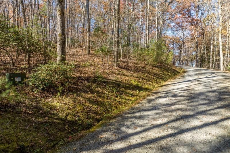 unimproved land for sale at LOT 7 Joseph Anderson Trail, Ellijay, GA 30536 — photo 2