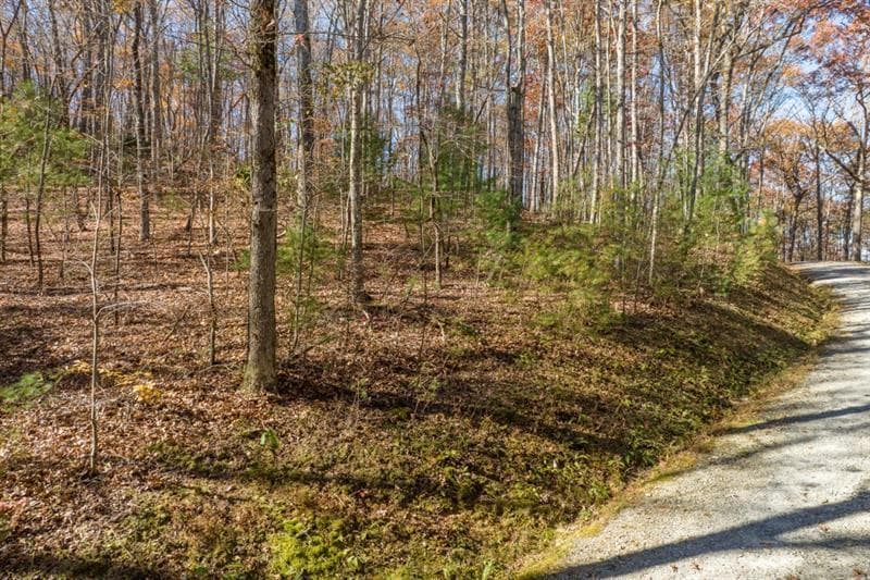 unimproved land for sale at LOT 7 Joseph Anderson Trail, Ellijay, GA 30536 — photo 3