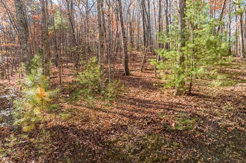 unimproved land for sale at LOT 7 Joseph Anderson Trail, Ellijay, GA 30536 — photo 4