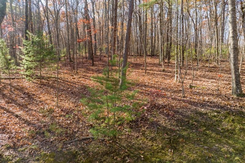unimproved land for sale at LOT 7 Joseph Anderson Trail, Ellijay, GA 30536 — photo 5