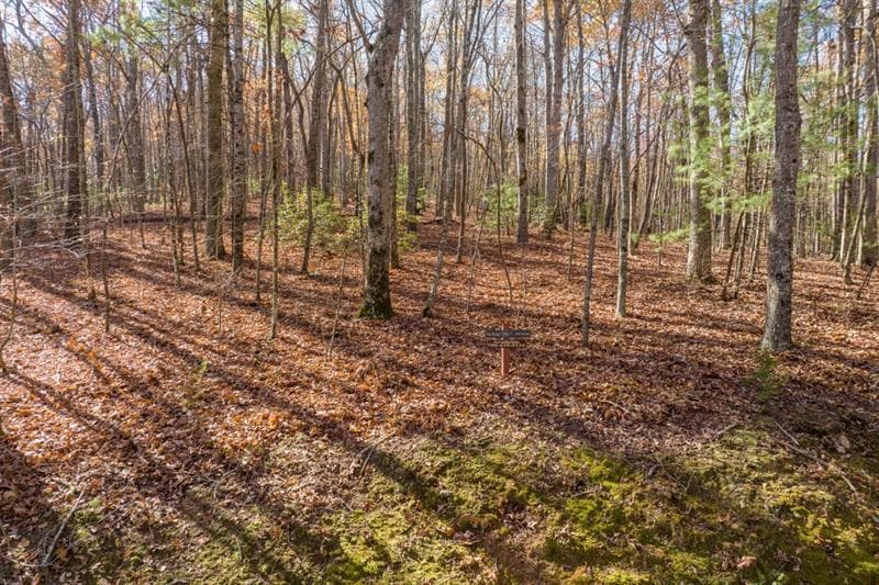 unimproved land for sale at LOT 7 Joseph Anderson Trail, Ellijay, GA 30536 — photo 6