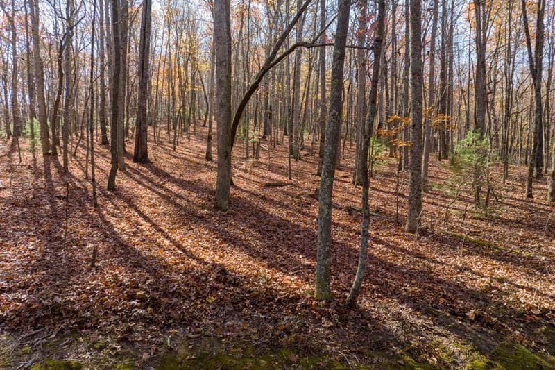 unimproved land for sale at LOT 7 Joseph Anderson Trail, Ellijay, GA 30536 — photo 7
