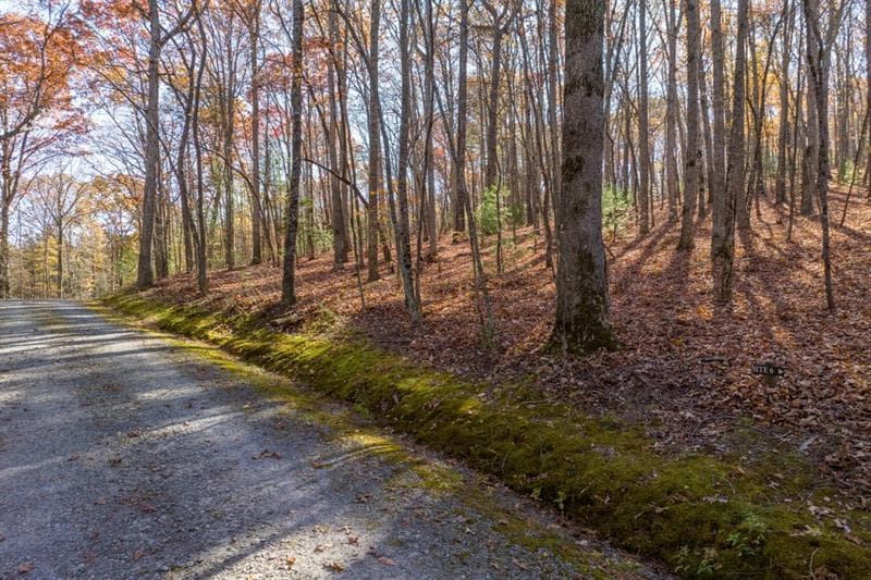 unimproved land for sale at LOT 7 Joseph Anderson Trail, Ellijay, GA 30536 — photo 8
