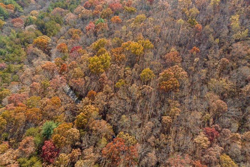 unimproved land for sale at LOT 7 Joseph Anderson Trail, Ellijay, GA 30536 — photo 9