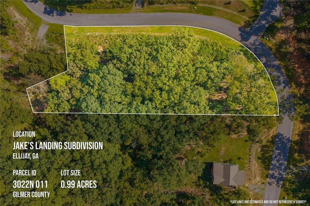unimproved land for sale at Lot 11 Lake Top Lane, Ellijay, GA 30540 — photo 2