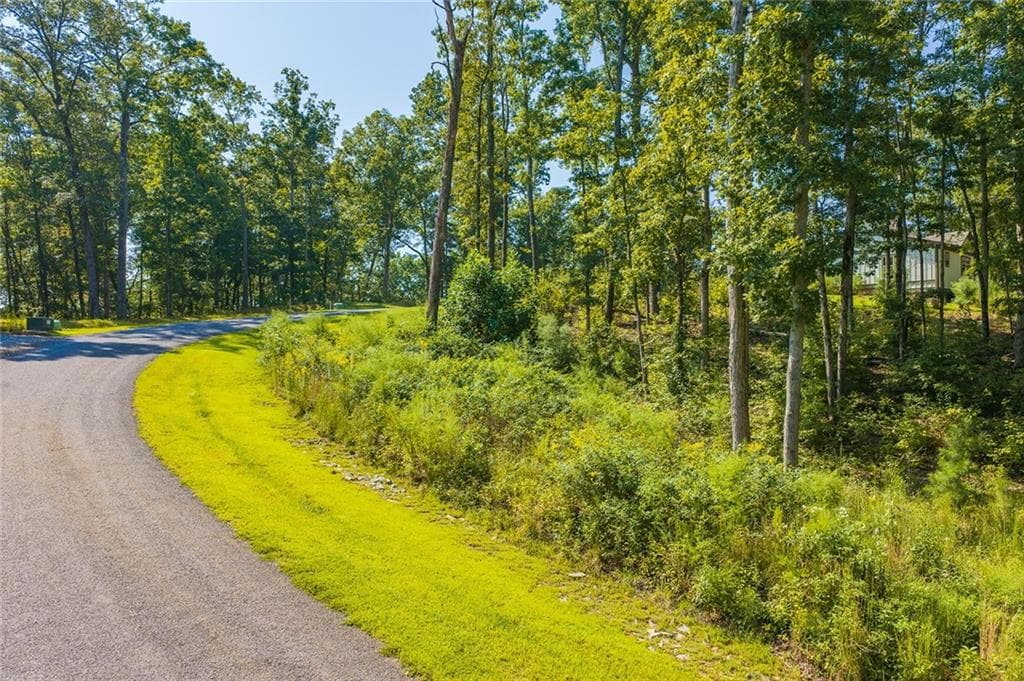unimproved land for sale at Lot 11 Lake Top Lane, Ellijay, GA 30540 — photo 3