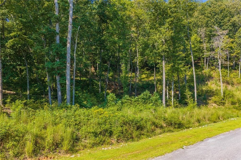unimproved land for sale at Lot 11 Lake Top Lane, Ellijay, GA 30540 — photo 4