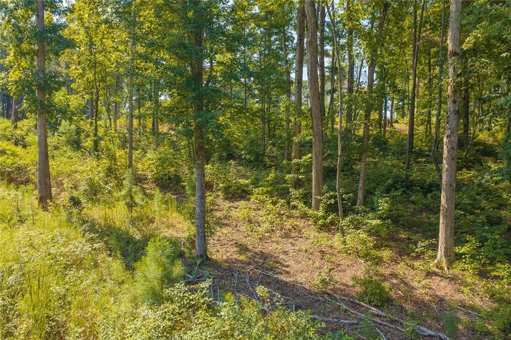 unimproved land for sale at Lot 11 Lake Top Lane, Ellijay, GA 30540 — photo 5
