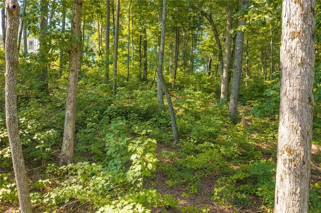 unimproved land for sale at Lot 11 Lake Top Lane, Ellijay, GA 30540 — photo 6