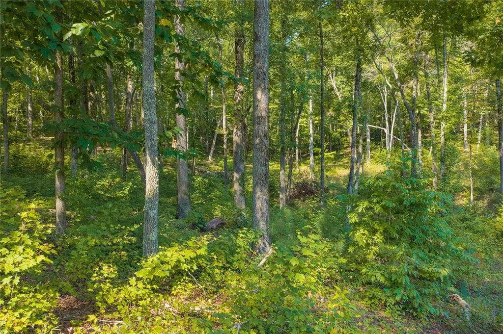 unimproved land for sale at Lot 11 Lake Top Lane, Ellijay, GA 30540 — photo 7