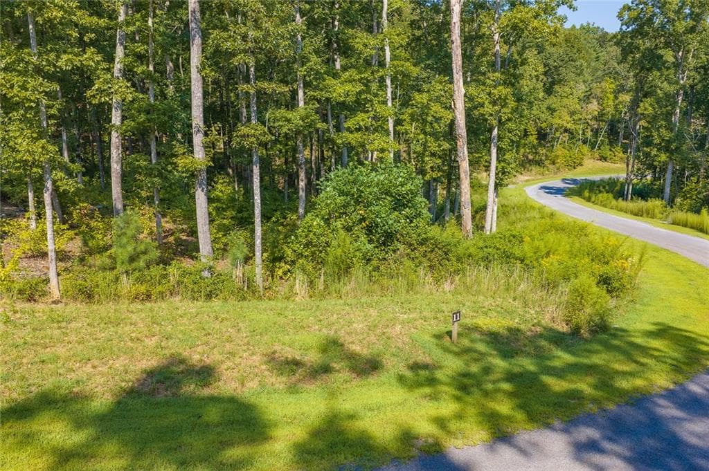 unimproved land for sale at Lot 11 Lake Top Lane, Ellijay, GA 30540 — photo 8